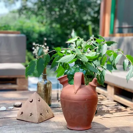 El Cielo De La Vera * Villanueva De La Vera