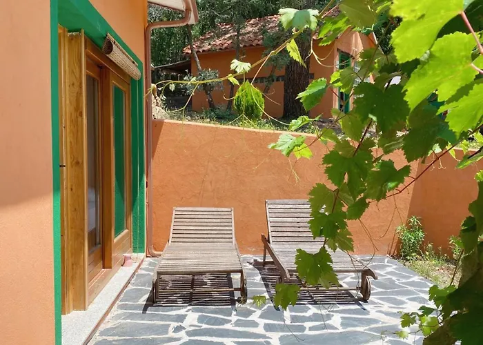 El Cielo De La Vera Farma *