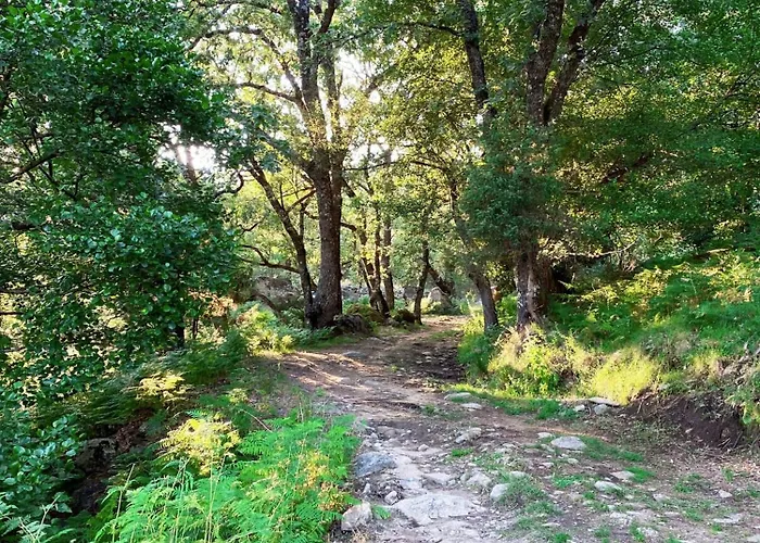 Farma El Cielo De La Vera *