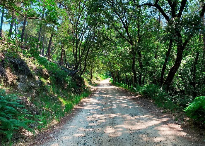 El Cielo De La Vera Villanueva De La Vera