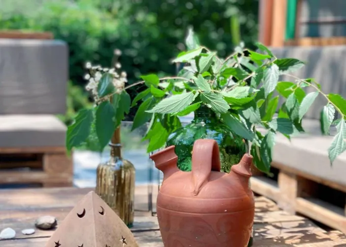 El Cielo De La Vera * Villanueva De La Vera